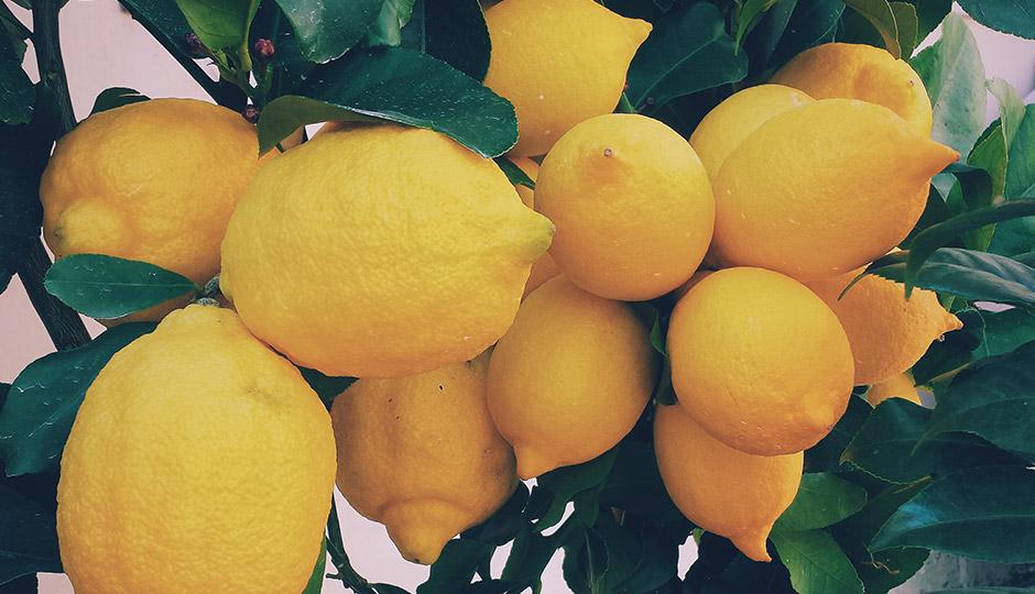 Health and Beauty Benefits of Lemon Water