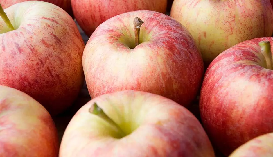 Health Benefits of Apples Health Benefits of Apples