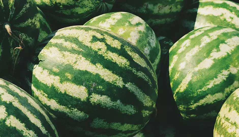8 Water Rich Foods to Keep You Hydrated 8 Water Rich Foods to Keep You Hydrated