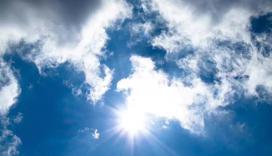Can Vitamin D Save Your Life