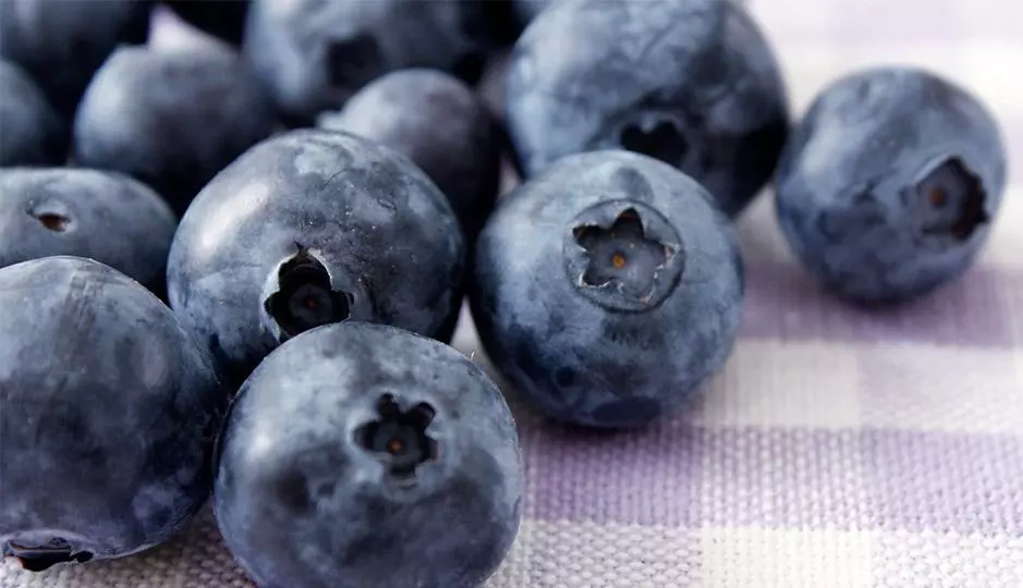Health Benefits of Blueberries Health Benefits of Blueberries