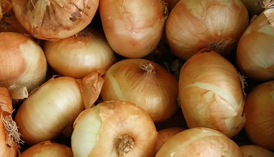 Health Benefits of Onions Health Benefits of Onions