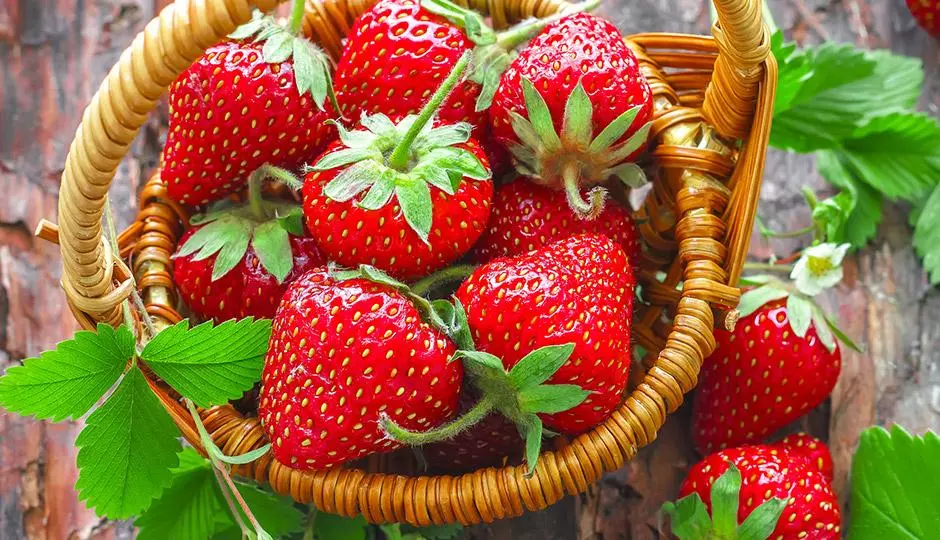 Health Benefits of Strawberries Health Benefits of Strawberries