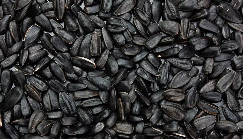 The Best Foods to Improve Your Brain Health The Best Foods to Improve Your Brain Health